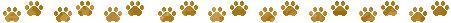 This image has an empty alt attribute; its file name is pawbar.jpg